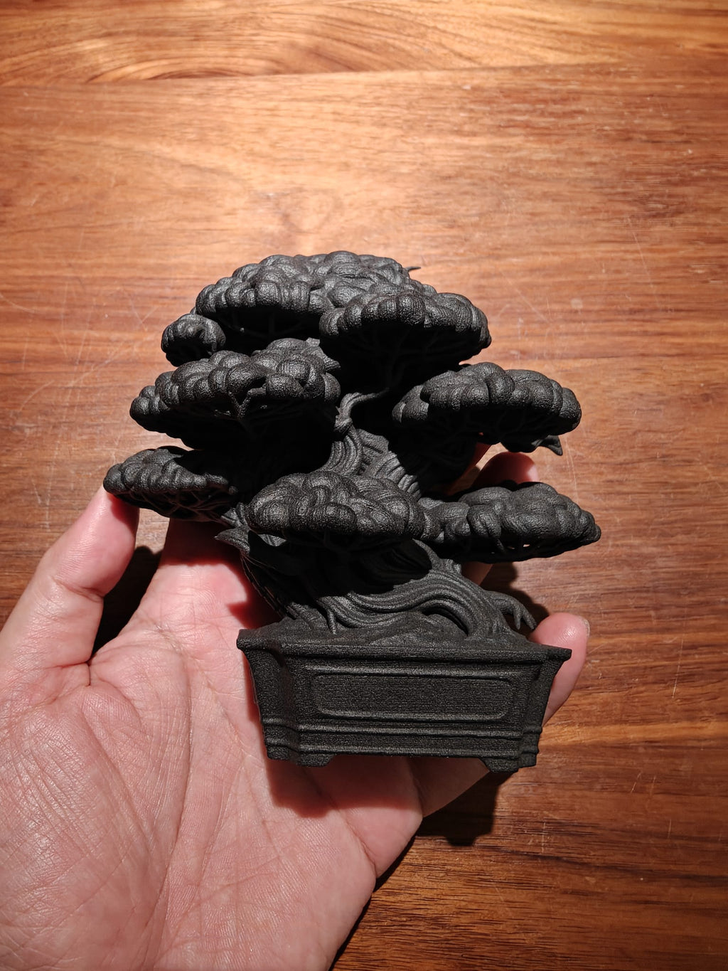 Bonsai Figure - 真柏05風