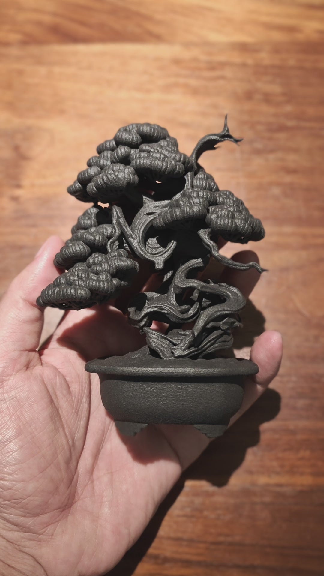 Bonsai Figure - 真柏03